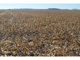 Tract 2 - FARMLAND AUCTION - 165.5+/- ACRES OFFERED IN 5 TRACTS OR COMBINATIONS IN EAST ALLEN COUNTY